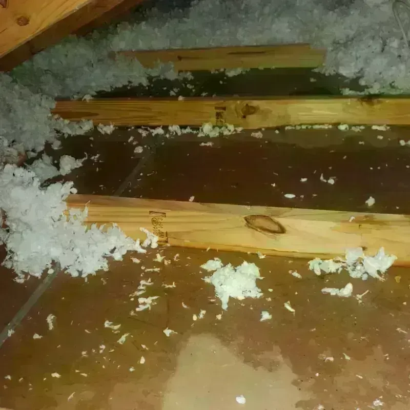 Attic Water Damage in Trail Creek, IN