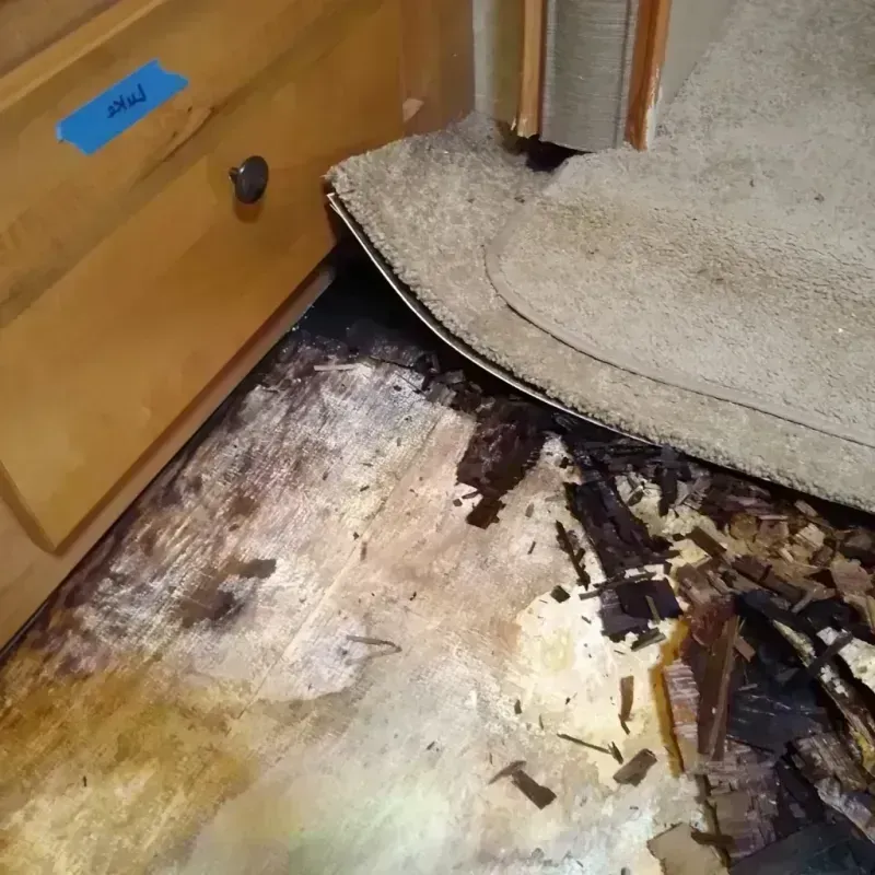 Best Wood Floor Water Damage Service in Trail Creek, IN